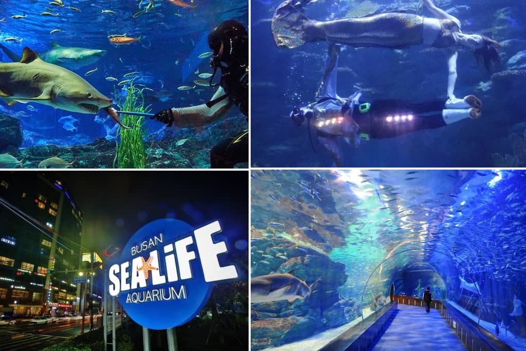 BUSAN SEALIFE