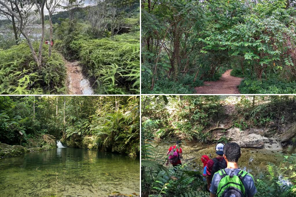 Hutan Simpan Ayer Hitam