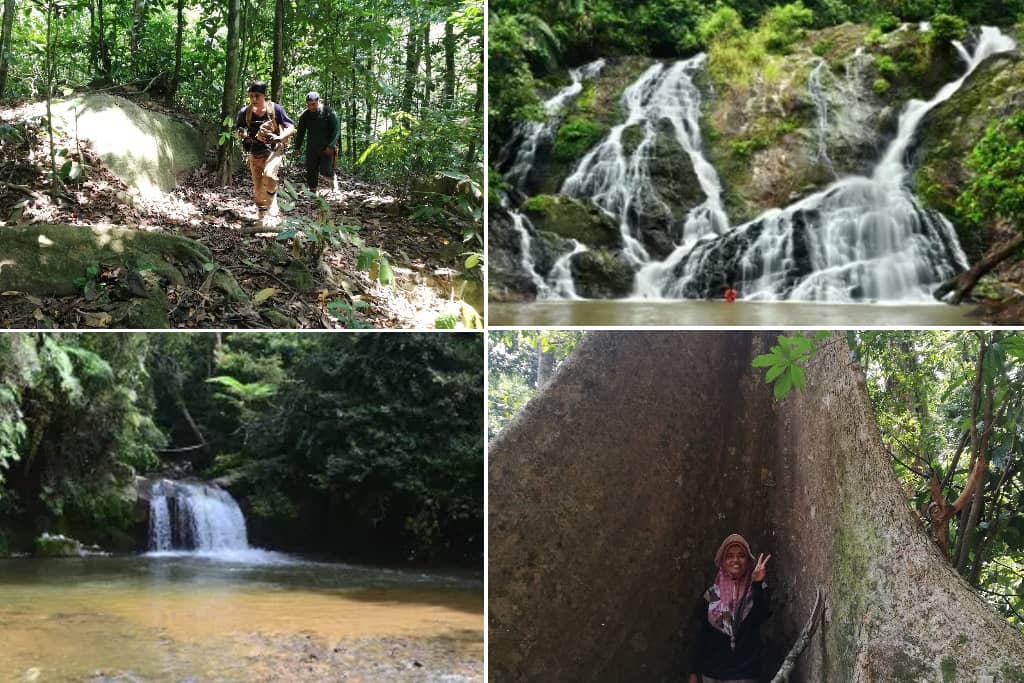 Hutan Simpan Bukit Taching