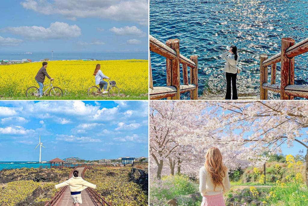 tempat menarik Seoul Korea: Pulau Jeju