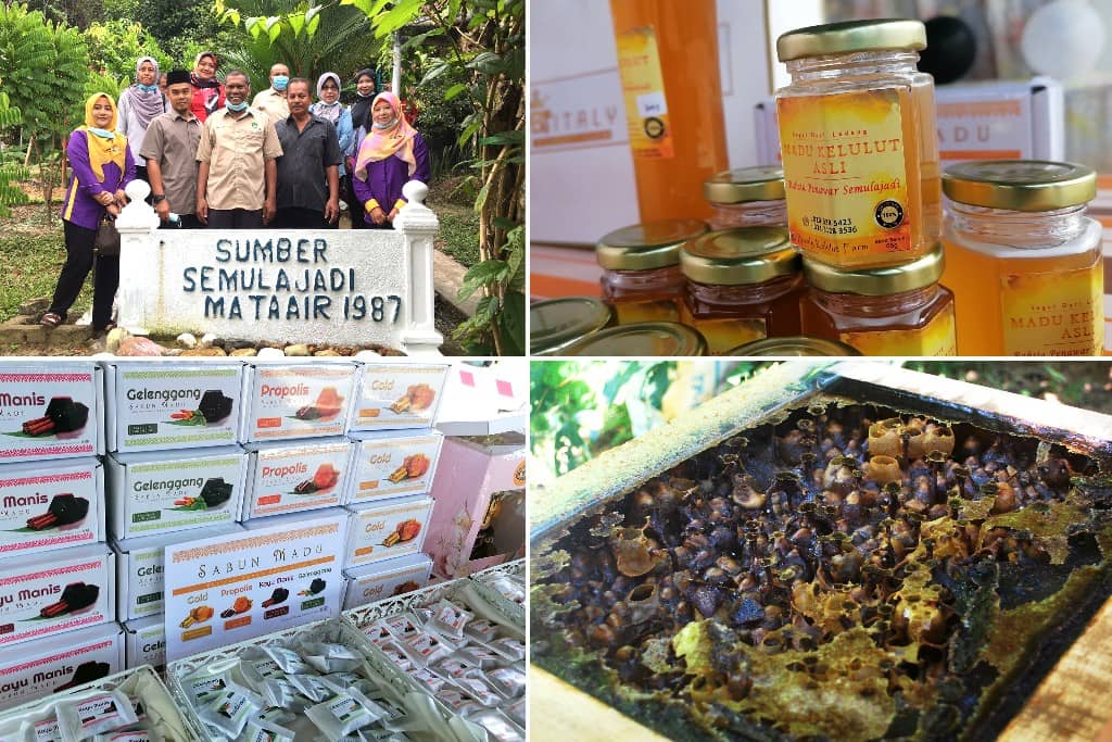 Taman Mini Kelulut Lestari