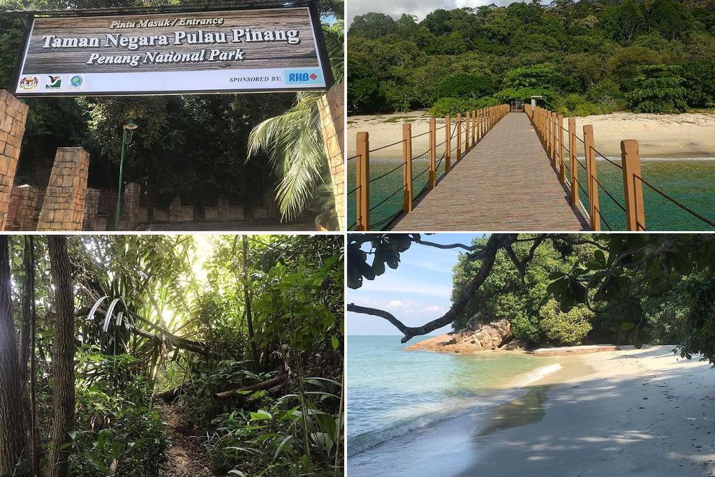 aktiviti jungle trekking di taman negara penang