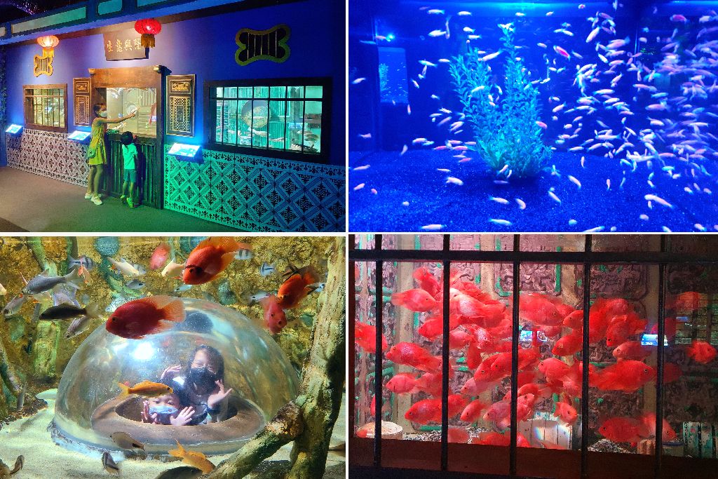 aquarium di top penang