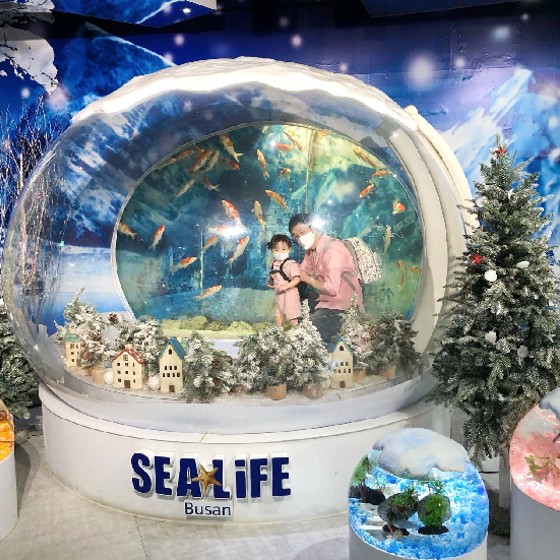 bergambar di sea life busan