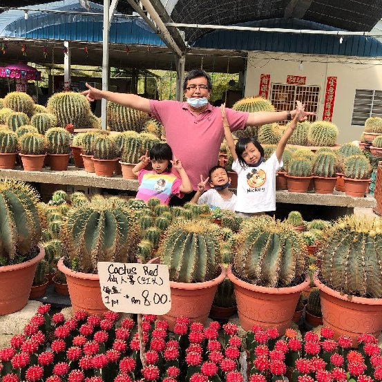 cactus point di cameron