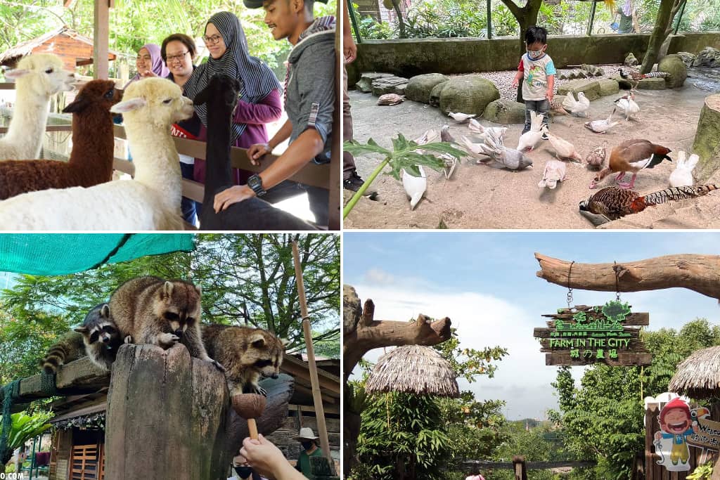 tempat menarik untuk kanak-kanak di selangor