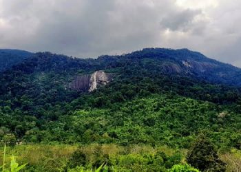 Tempat menarik Kuala Krai