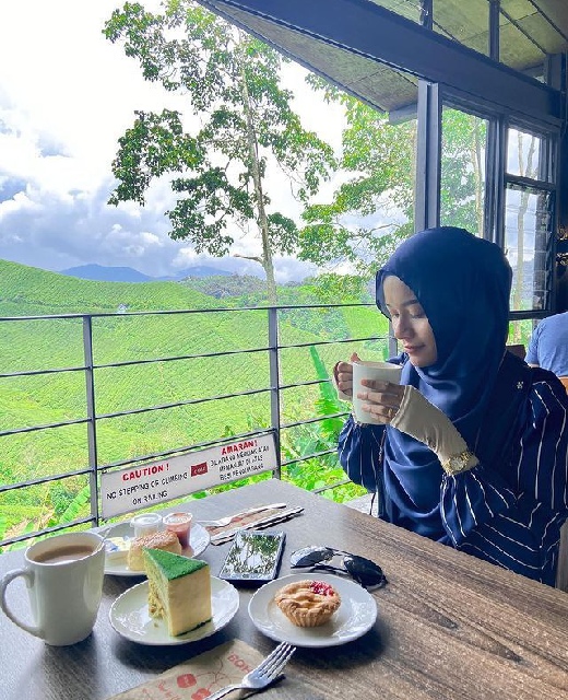 ladang teh boh sungai palas di cameron highland