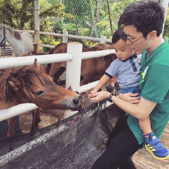 mini zoo audi farm penang1