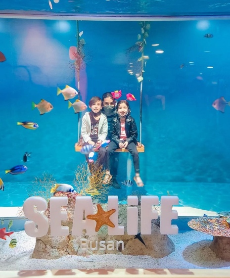 ootd naik buaian di sea life busan 1
