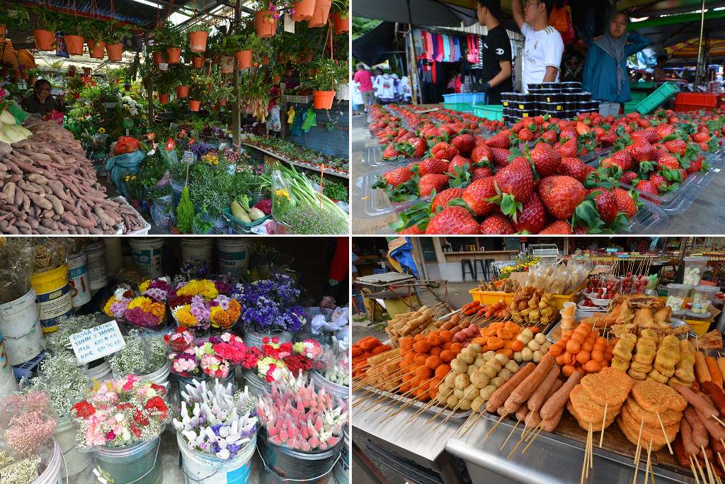 pasar pagi kea farm di cameron highland