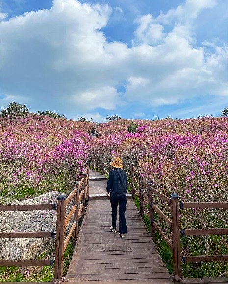 pemandangan cantik di biseul mountain korea