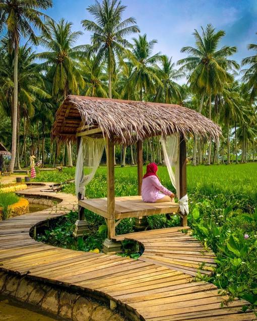 kampung agong penang: picnic