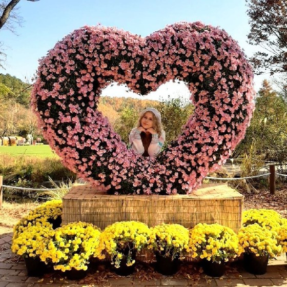 port cantik untuk bergambar di daegu arboretum