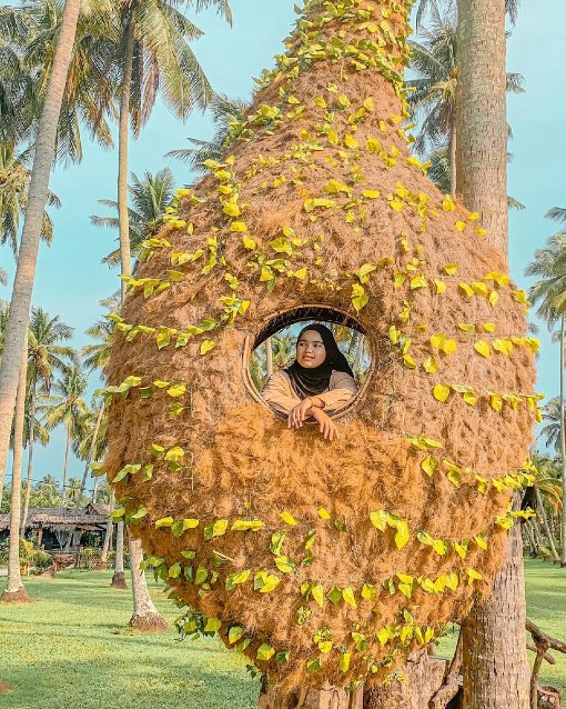 kampung agong penang: sarang burung