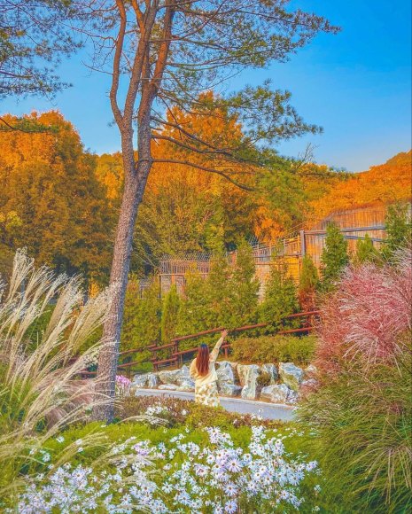 seoul grand children park korea 1
