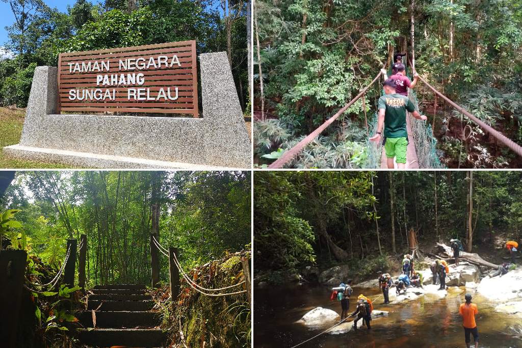 taman negara pahang yang cantik