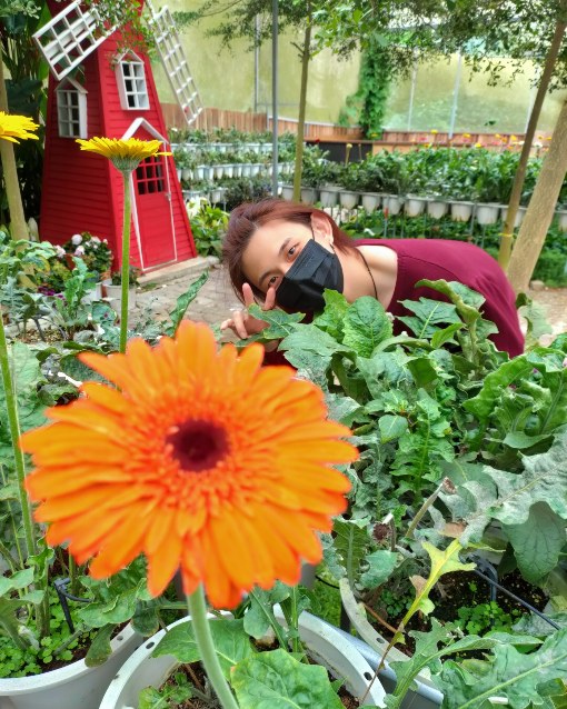 taman-rama-rama-di-cameron-highland