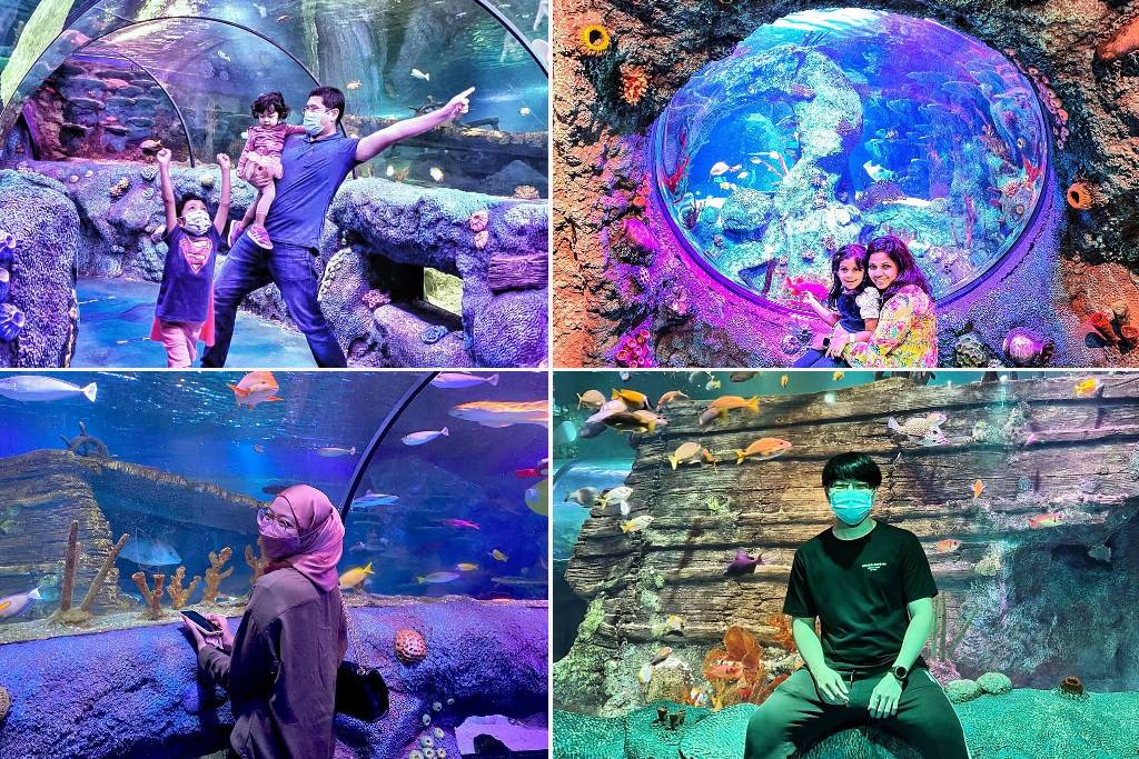 tempat menarik johor bahru: Sealife Malaysia