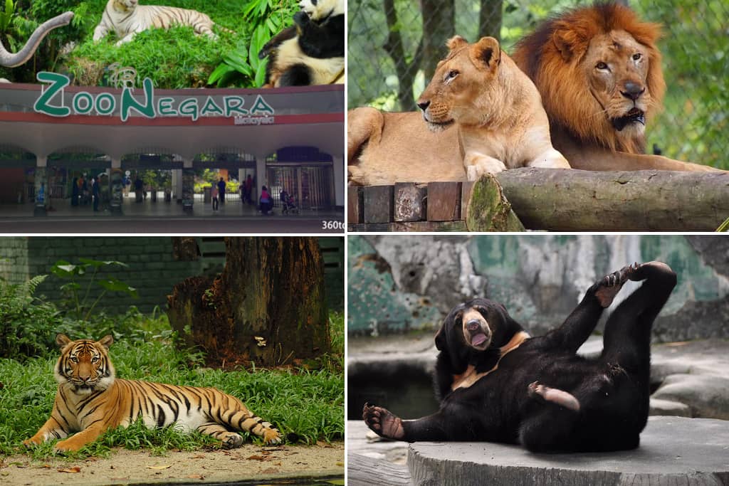 Zoo Negara