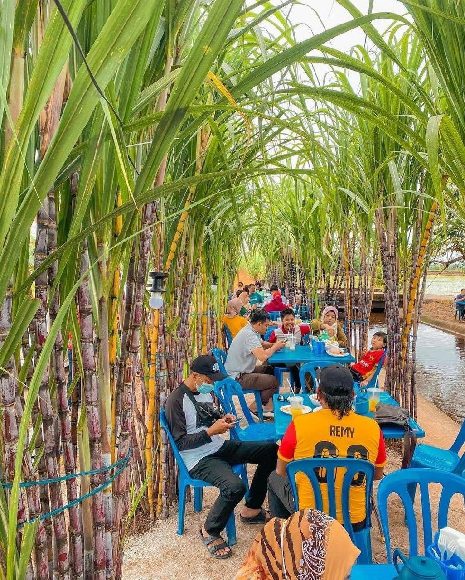 makan di laman tebu sungai besar