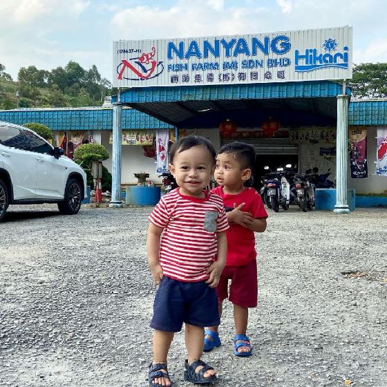 nanyang fish farm di kulai johor
