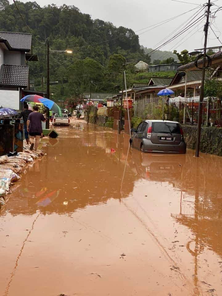 banjir di cameron 1