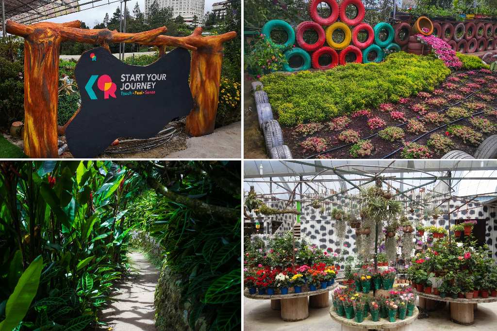 o & r garden di cameron highland