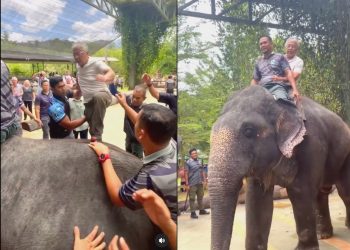 “Kesian Gajah Tu, Mesti Sakit,” – Tular Video Kerabat Raja Seronok Tunggang Gajah