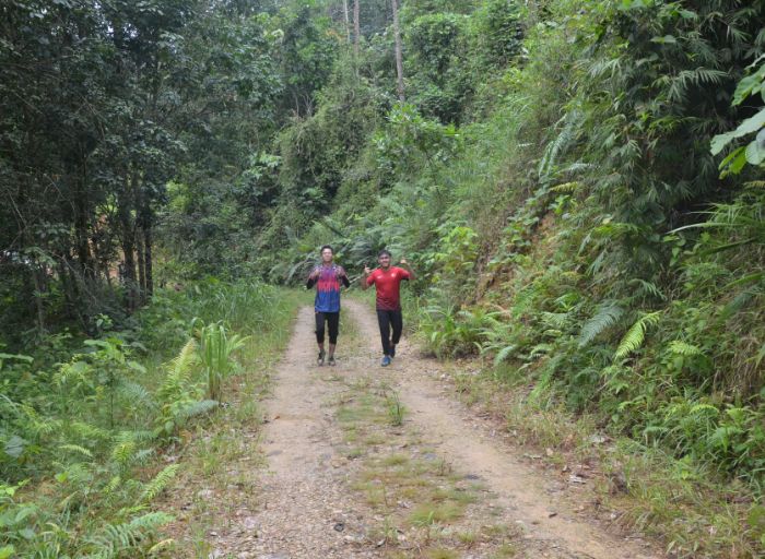 taman hutan di sabah