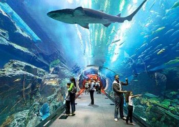 zoo menarik di malaysia