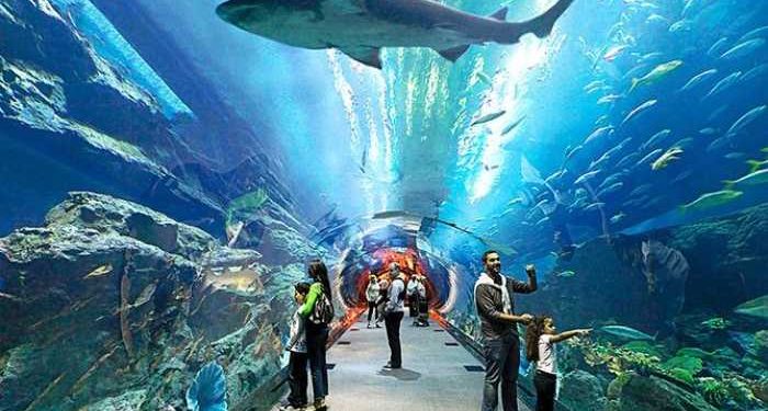 zoo menarik di malaysia