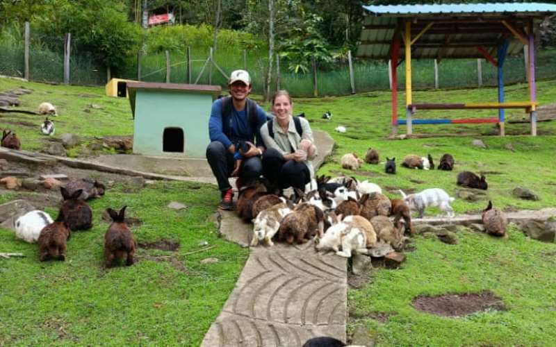 rabbit farm di sabah