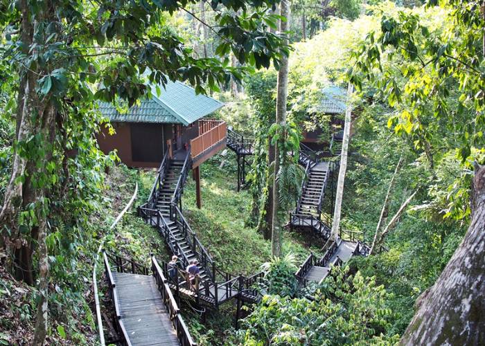 Tabin Wildlife Resort Hill Lodge View 2