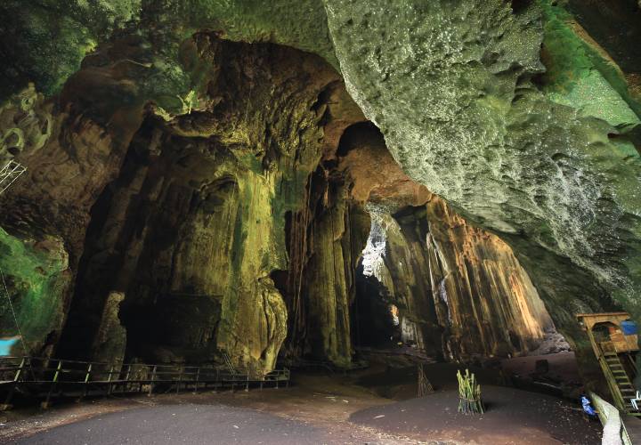 gua gomantong