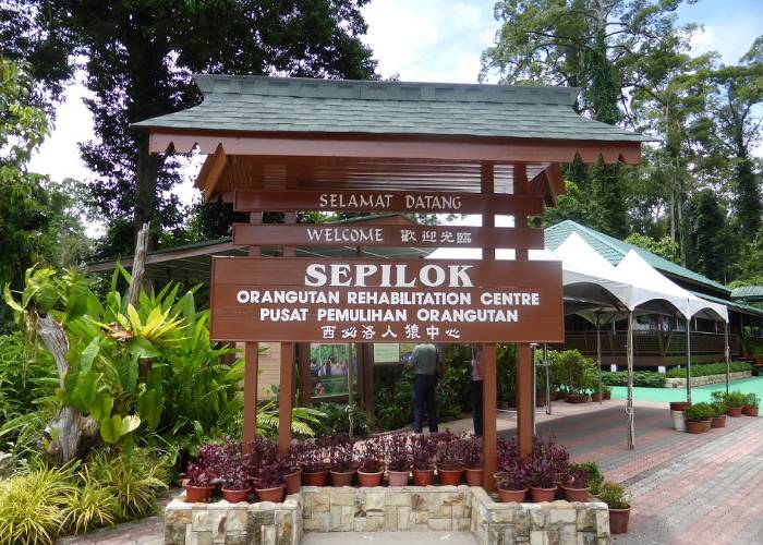 pusat pemelihaaran orang utan sepilok