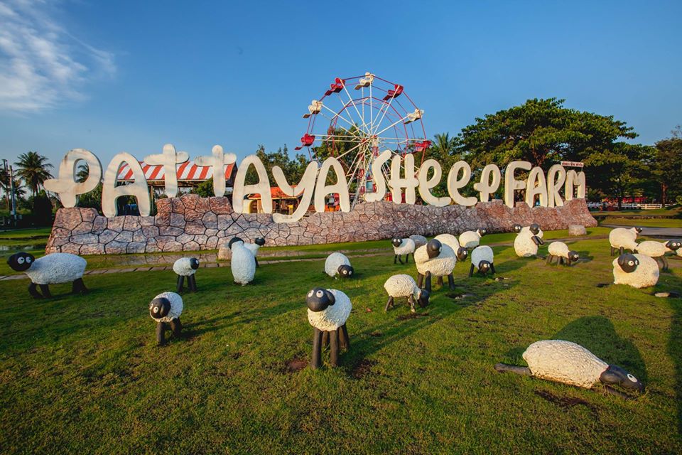 pattaya sheep farm