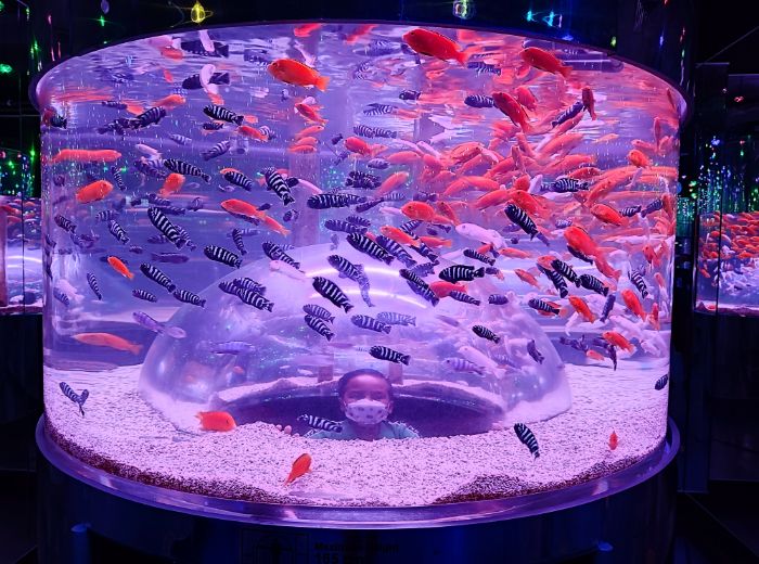 The Shore Oceanarium