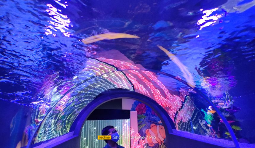 The Shore Oceanarium