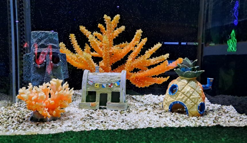 The Shore Oceanarium