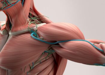 Bukan Kena Jaga Tulang Je, Otot Pun Sama Penting Untuk Kesihatan Masa Tua