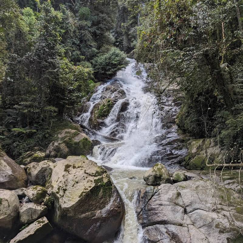 air terjun robinson