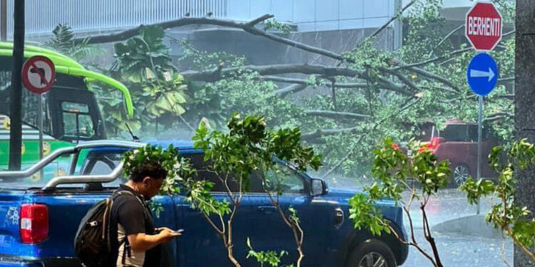 Lagi Pokok Tumbang Hempap Kenderaan di Kuala Lumpur