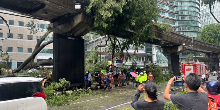 Pokok KL Tumbang Hingga Ragut Nyawa & Ganggu Landasan Tren Monorel