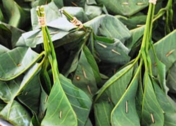 Adakah Haram Makan Tapai Yang Memang Ada Alkohol?