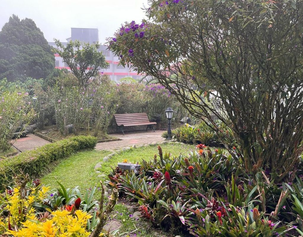 Talking Garden