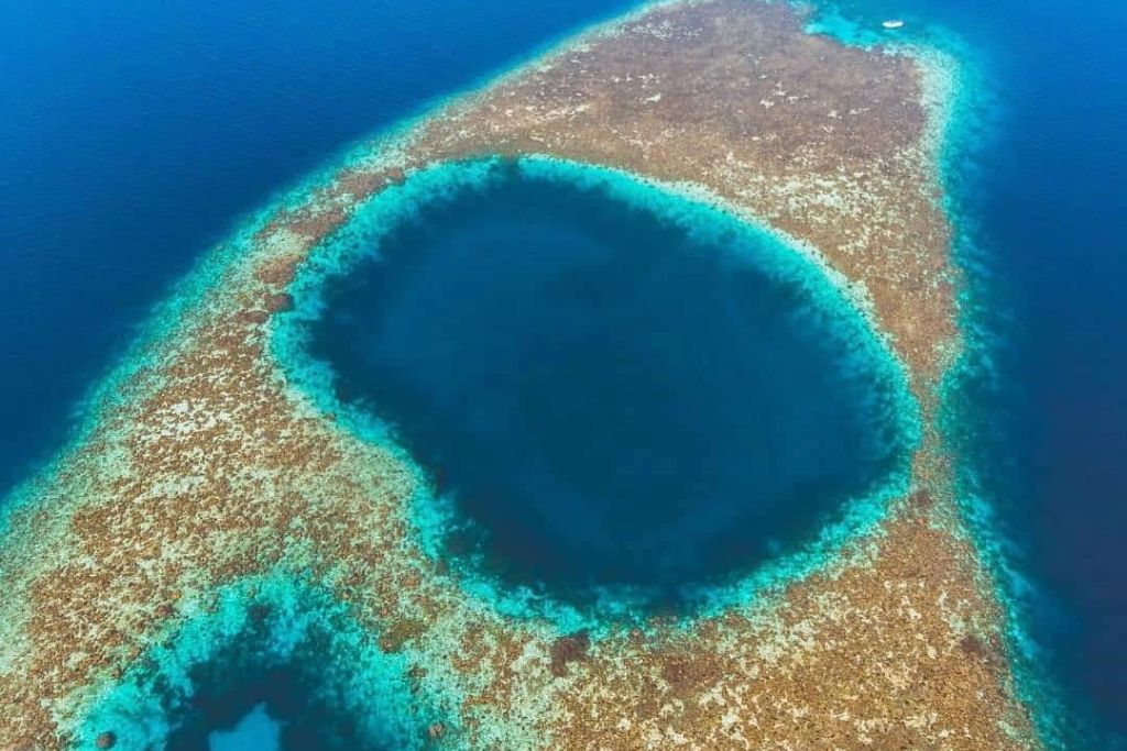 Blue Ring Reef