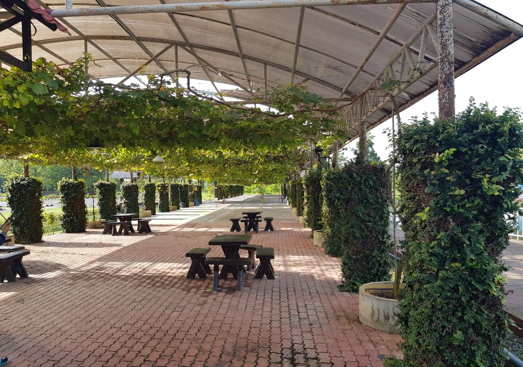 taman anggur di perlis