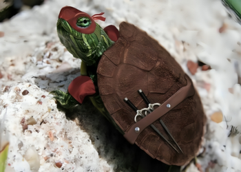 Apakah Yang Berlaku Jika Penyu Atau Kura-kura Keluar Dari Cangkerang?