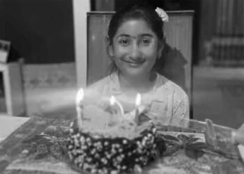 Kek Hari Jadi Berhias Bunga Baby Breath Beracun?